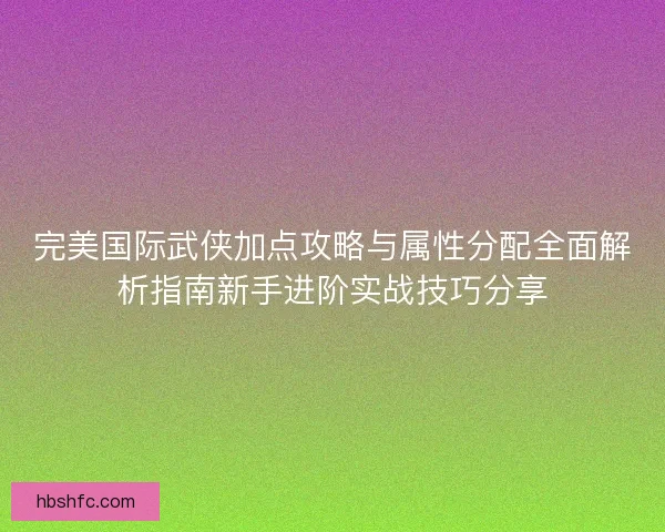 完美国际武侠加点攻略与属性分配全面解析指南新手进阶实战技巧分享