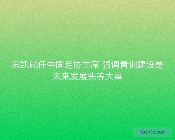 宋凯就任中国足协主席 强调青训建设是未来发展头等大事