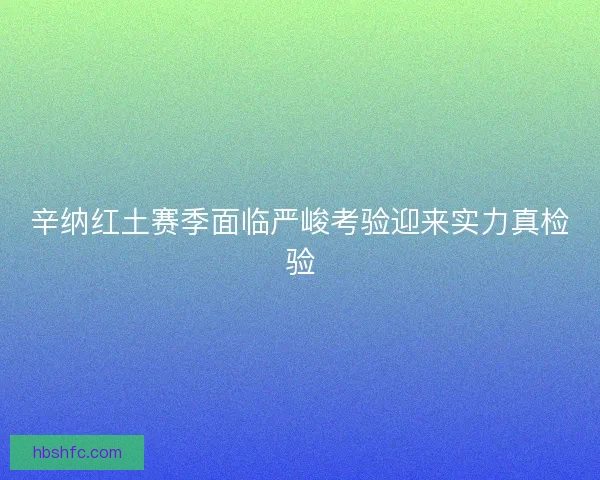 辛纳红土赛季面临严峻考验迎来实力真检验